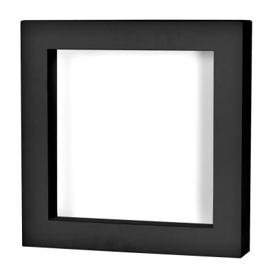 Doodlebug - Shadow Box Frames